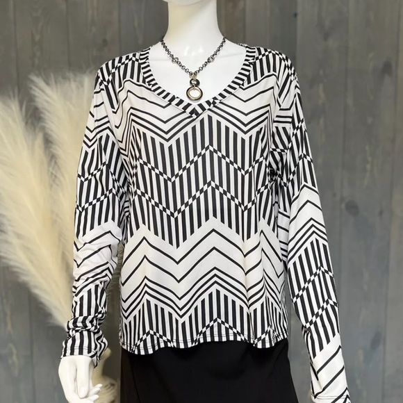 NWOT The Zig Zag Stripe Women’s Geometric Chevron Print Top Size Large Leng… - Picture 2 of 8